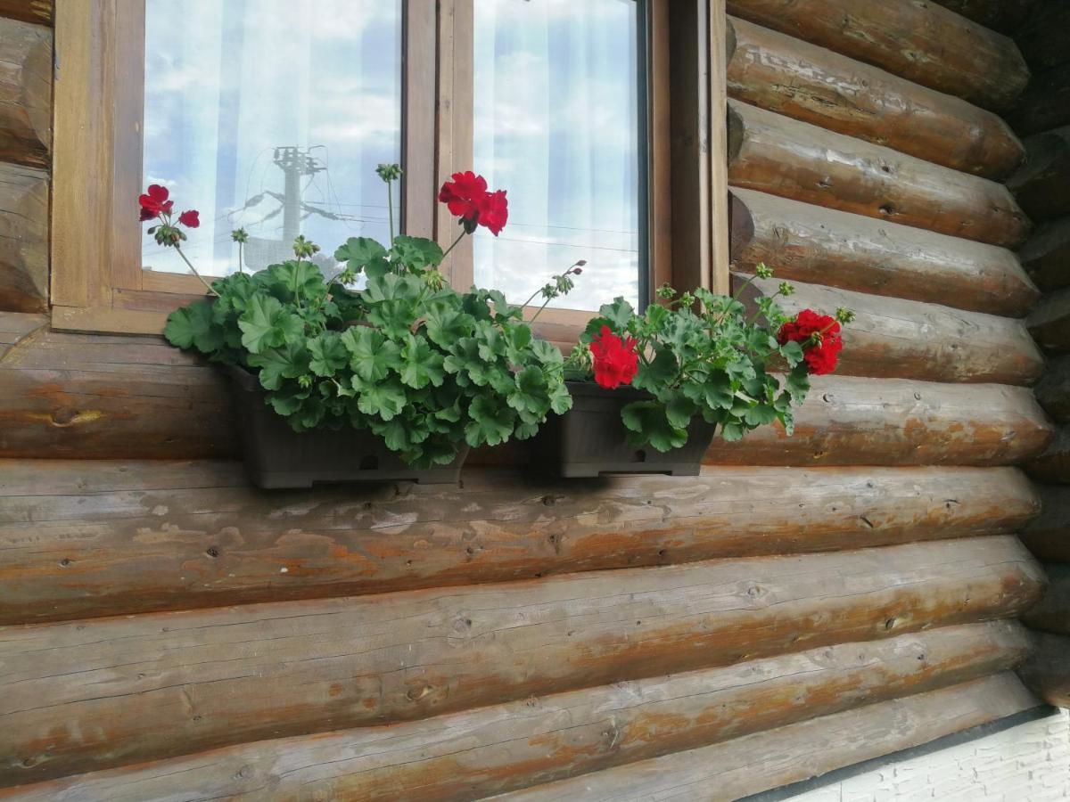 Дома для отпуска Cabana Rustic Balea Кырцишоара