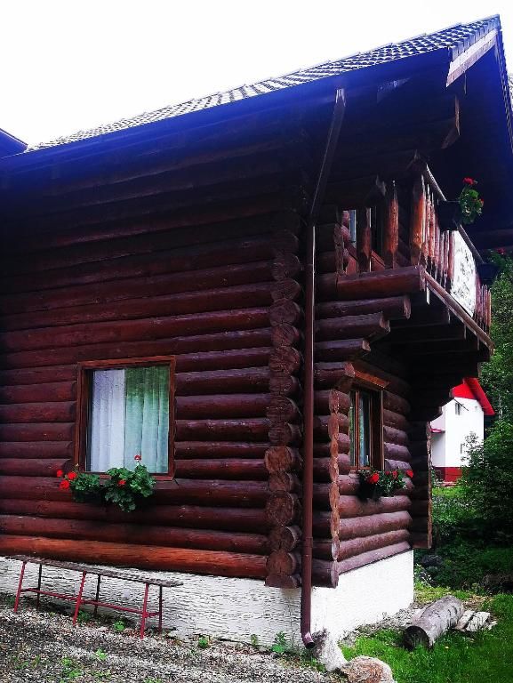 Дома для отпуска Cabana Rustic Balea Кырцишоара-42