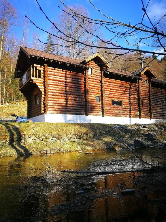 Дома для отпуска Cabana Rustic Balea Кырцишоара-76